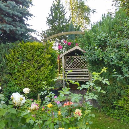 Mountain Ash Bed & Breakfast ฮอร์นคาสเซิล ภายนอก รูปภาพ