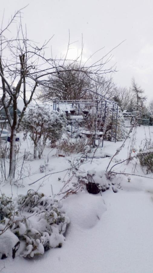 Mountain Ash Bed & Breakfast ฮอร์นคาสเซิล ภายนอก รูปภาพ